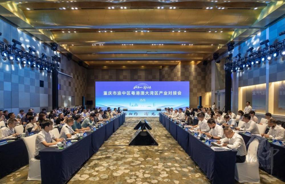 渝中区粤港澳大湾区产业对接会在深圳举行
